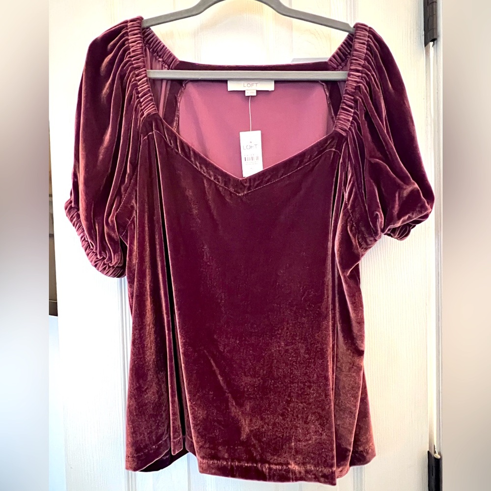 LOFT - Gorgeous Velvety Top - NWT - XL